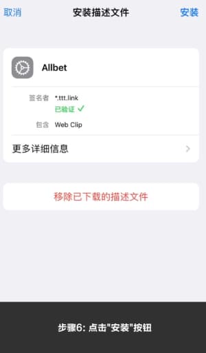 欧博竞技传媒iOS客户端系统部署与苹果端全流程证书激活指引标准结构示意图6